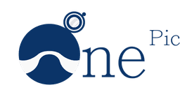 OnePic